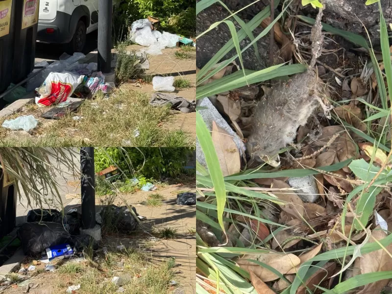 Basura,ratas e inseguridad: cuando el ciudadano paga y la gestion desaparece