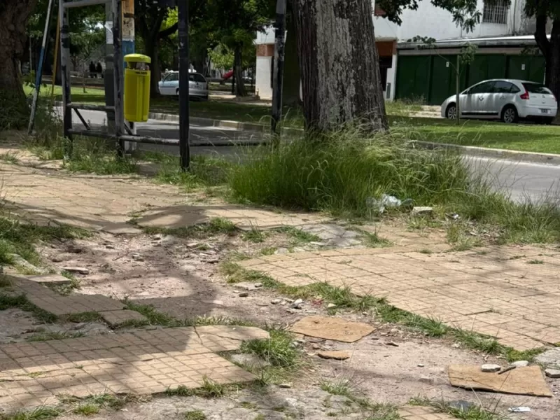 La Plata es de los ladrones