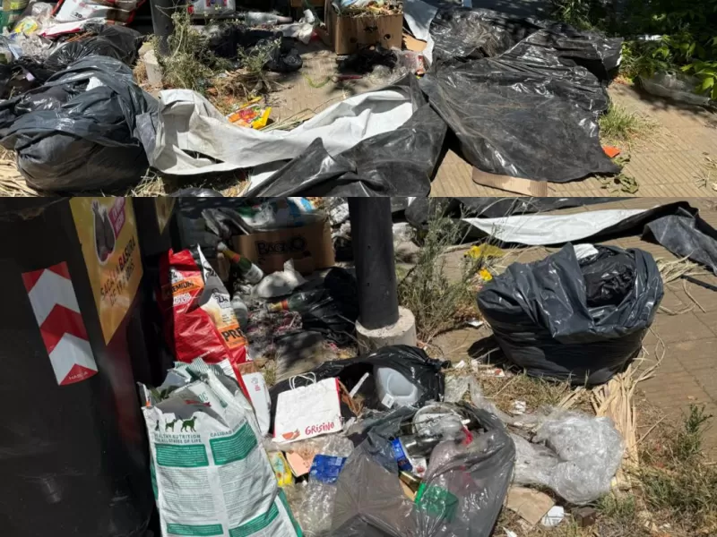 La ciudad convertida en un gran compost: la mugre avanza y la gestion no aparece