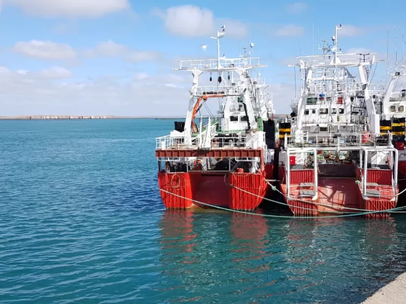 Fiscalía ordena unificar causas de coimas en la pesca y rechazar competencia local