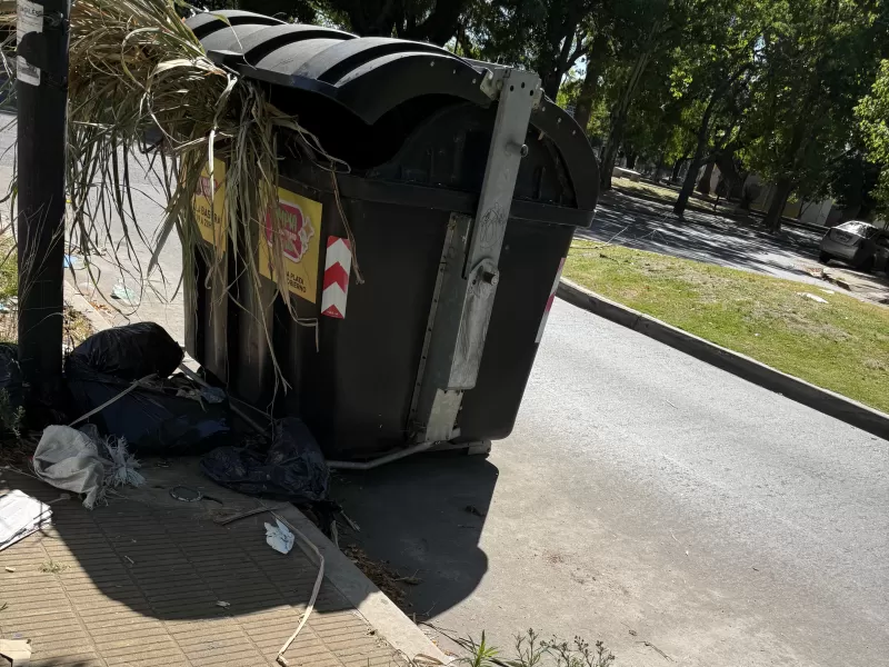 Basura,ratas e inseguridad: cuando el ciudadano paga y la gestion desaparece