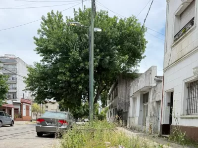 La Plata es de los ladrones