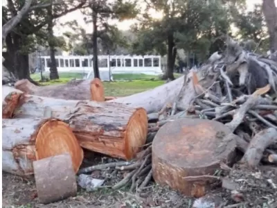 "Est&aacute;n haciendo un desastre": bronca y rechazo por la demolici&oacute;n de un puente hist&oacute;rico y la tala en el Parque Saavedra